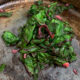 sautéed beet greens