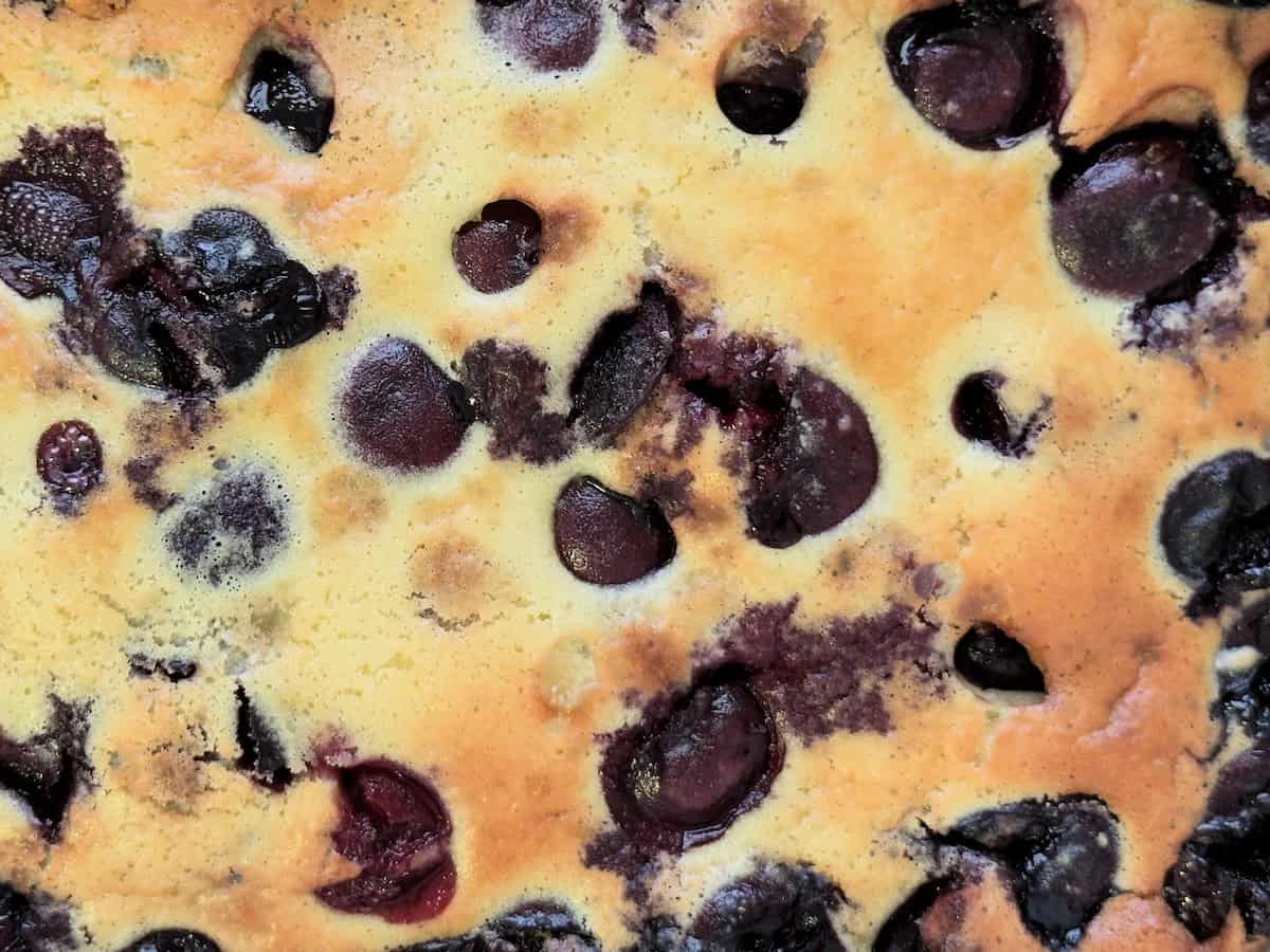 Non dairy clafoutis close up