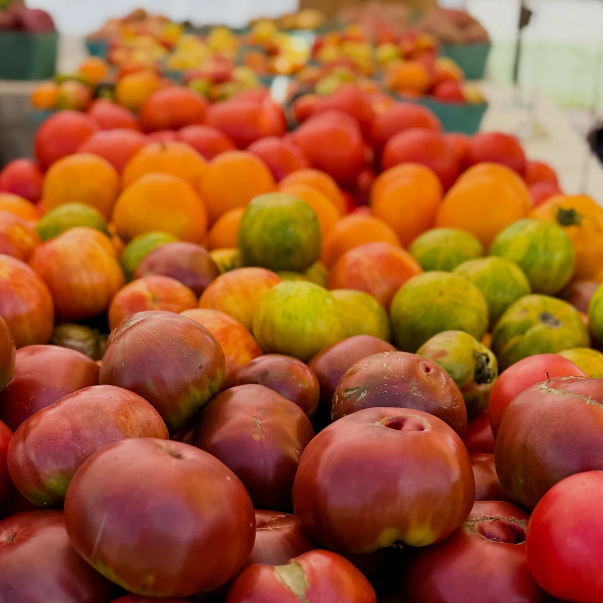 Heirloom Tomatoes at the Market