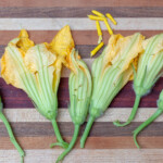 Zucchini Blossoms
