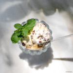 Fresh Banana Chocolate and Pecans Banana Gelato with Chocolate Chips and Pecans